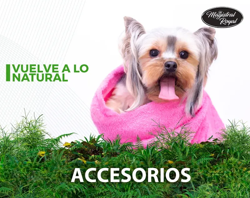 Accesorios