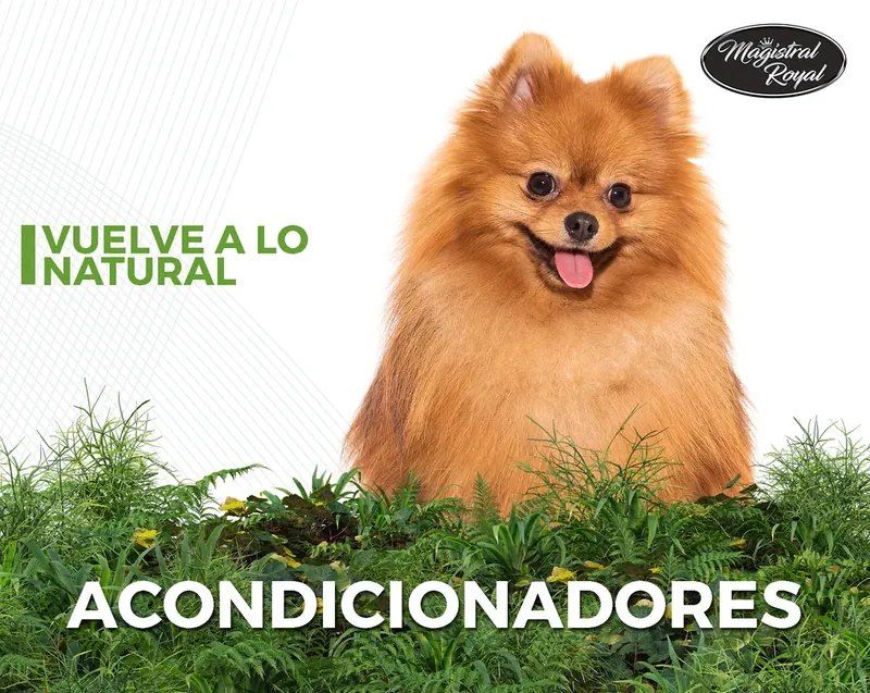 Acondicionadores