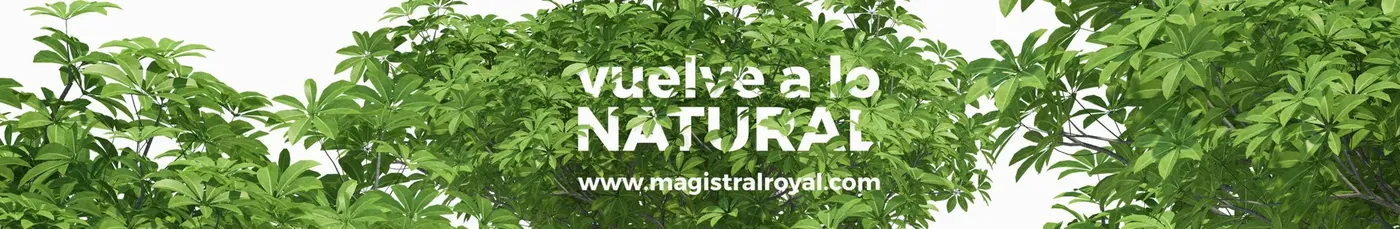 Vuelve a lo natural