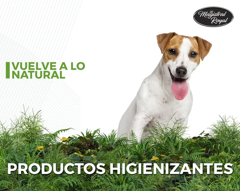 Productos higienizantes