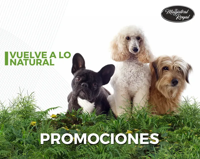 Promociones