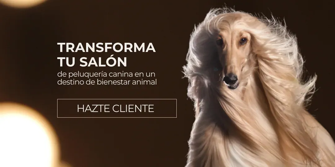 Transforma tu salón · Hazte cliente